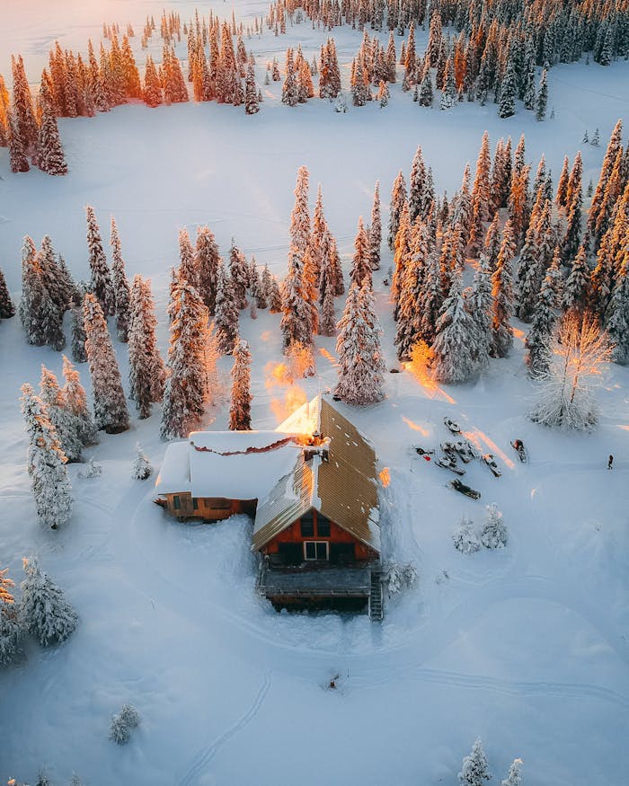 A breathtaking snowy cabin surrounded by tall evergreen trees at sunset, captured from above.